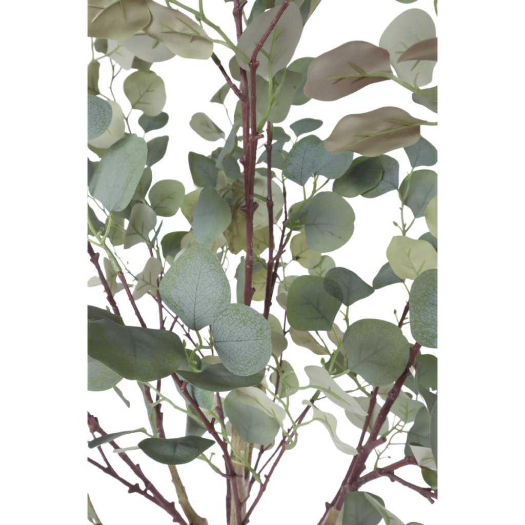 Kunstboom Eucalyptus 160 cm - mrshomeandgarden