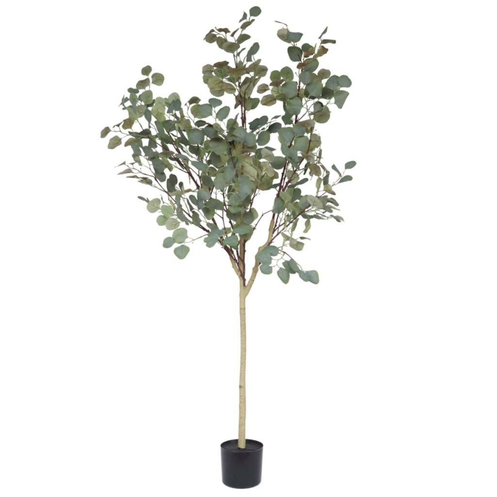 Kunstboom Eucalyptus 160 cm - mrshomeandgarden