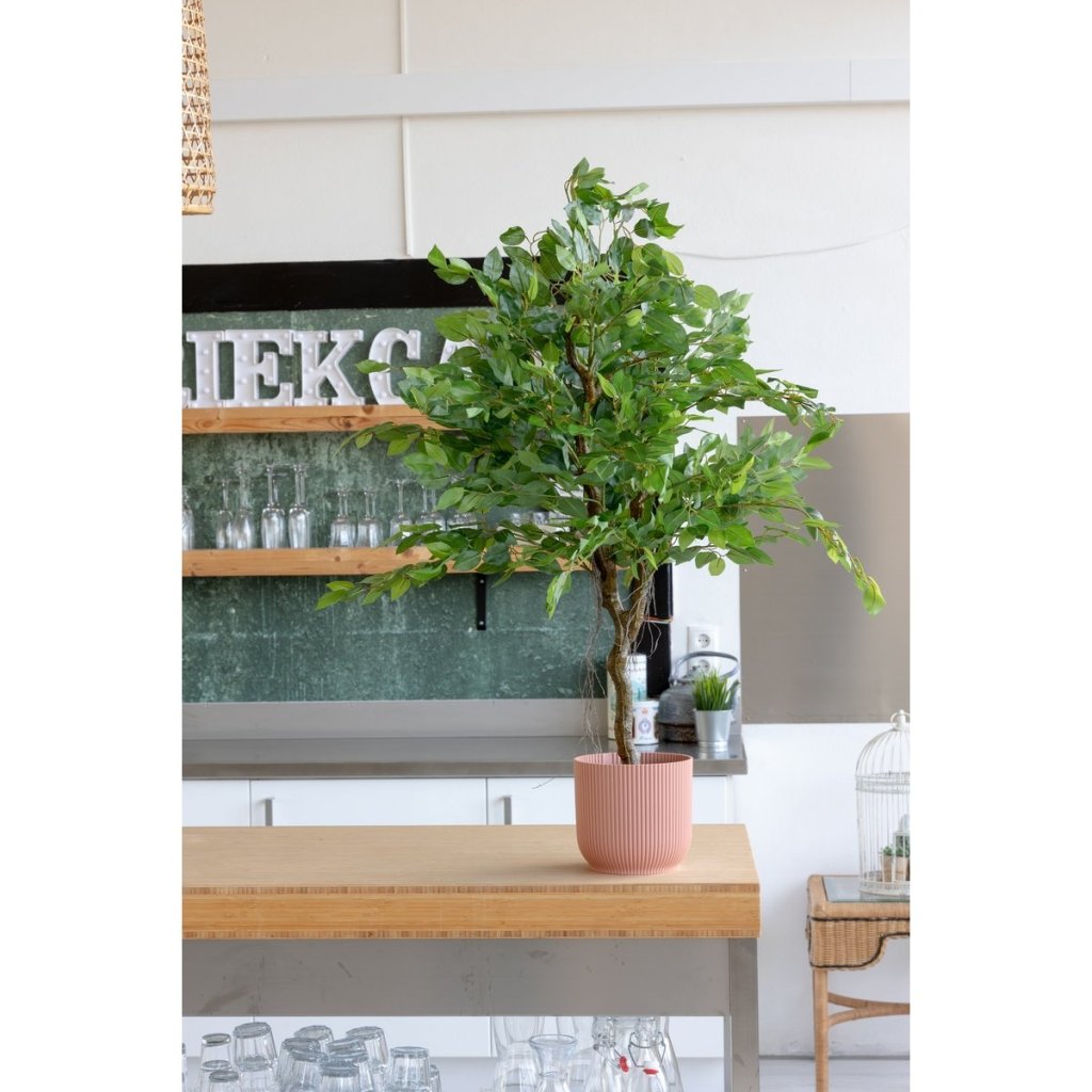 Kunstboom Ficus 100 cm - mrshomeandgarden