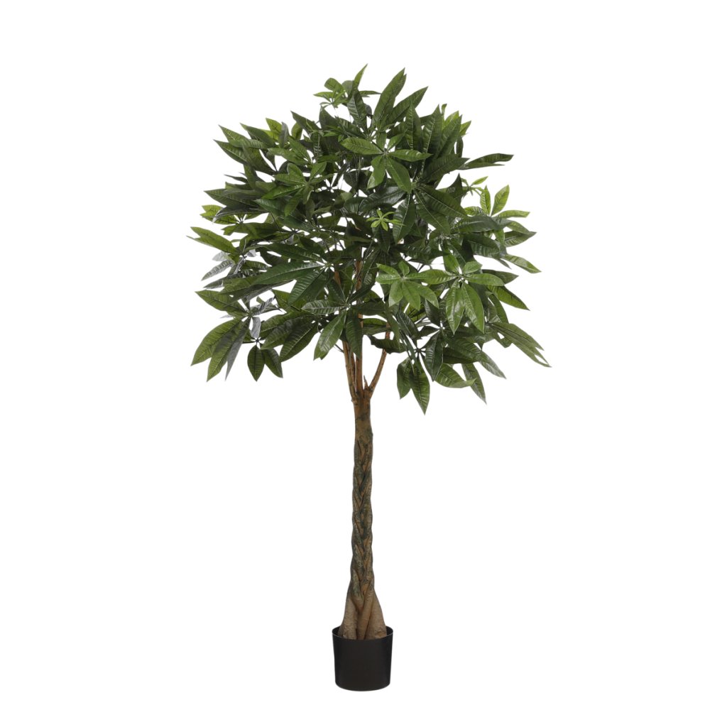 Kunstplant Pachira 120 cm - mrshomeandgarden