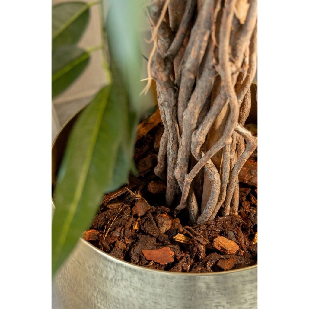 Longifolia kunstplant 180 cm - mrshomeandgarden