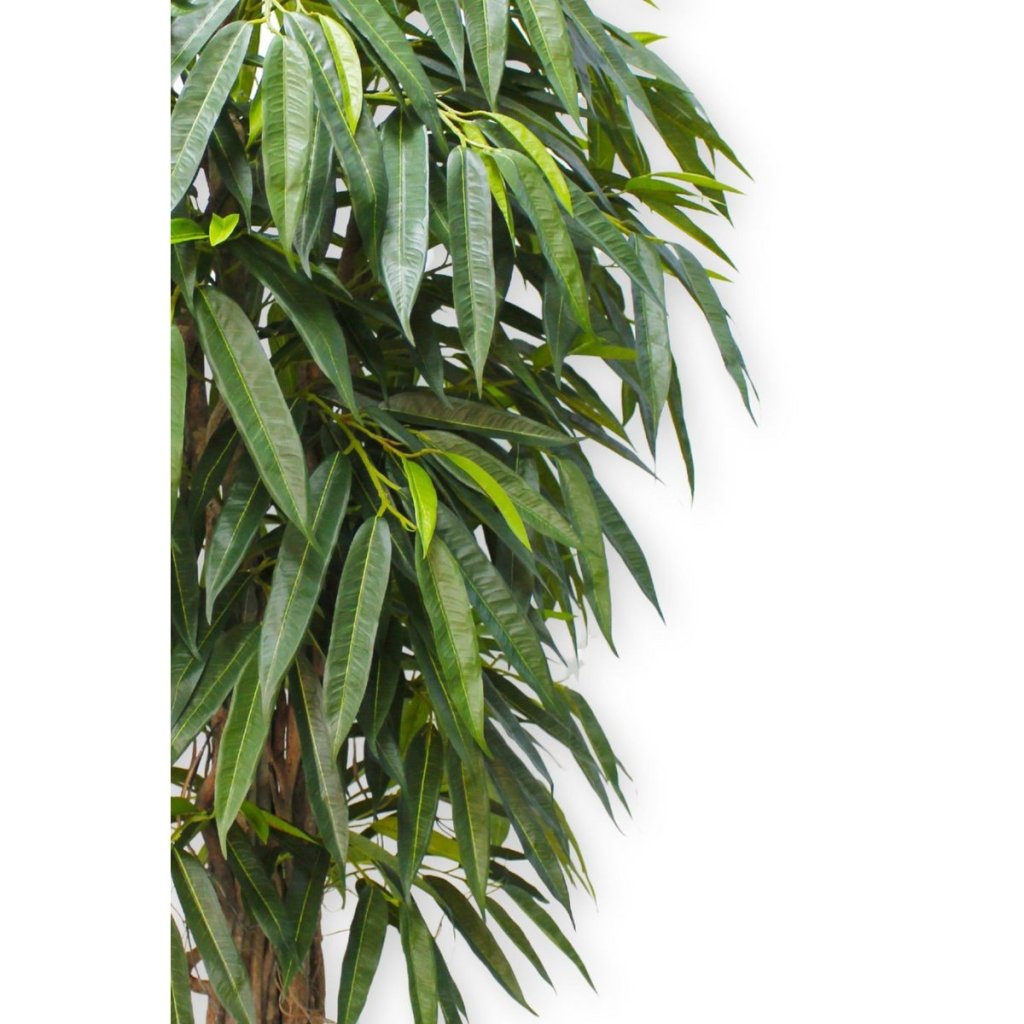 Longifolia kunstplant 180 cm - mrshomeandgarden