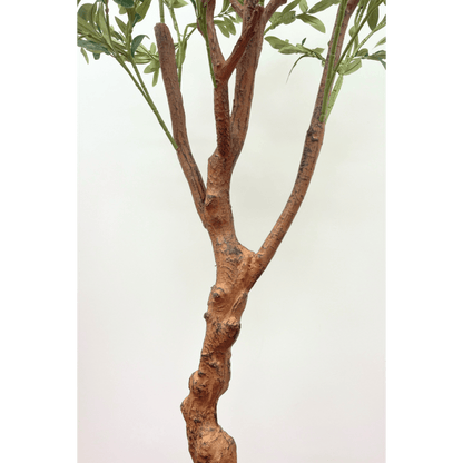 Olijfboom kunst 150 cm (lichte stam) - mrshomeandgarden
