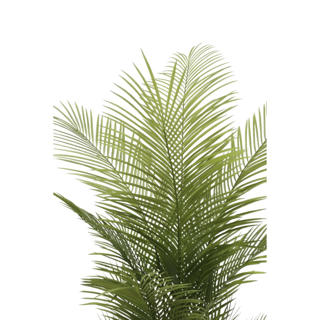 Palm kunst 150 cm - mrshomeandgarden