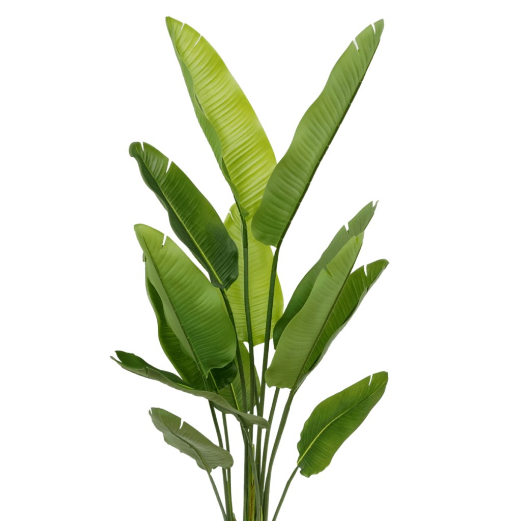 Strelitzia kunstplant 160 cm - mrshomeandgarden