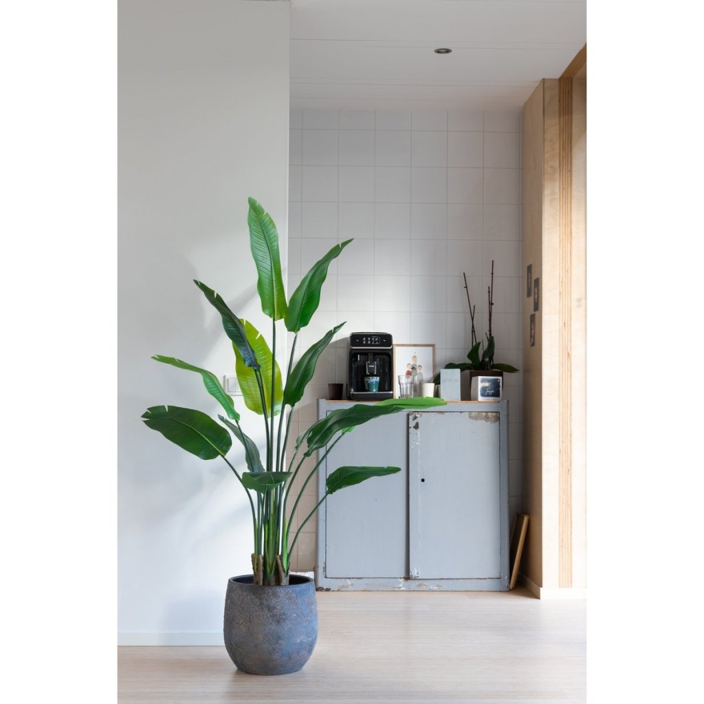 Strelitzia kunstplant 160 cm - mrshomeandgarden