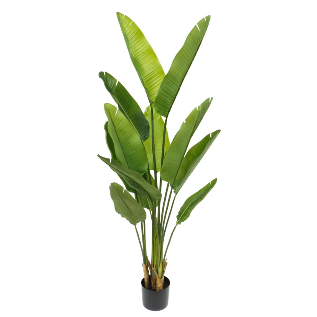 Strelitzia kunstplant 160 cm - mrshomeandgarden