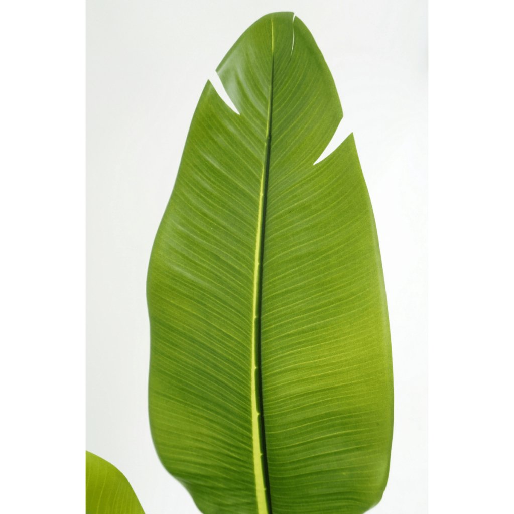 Strelitzia kunstplant 160 cm - mrshomeandgarden