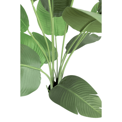 Strelitzia kunstplant 160 cm - mrshomeandgarden