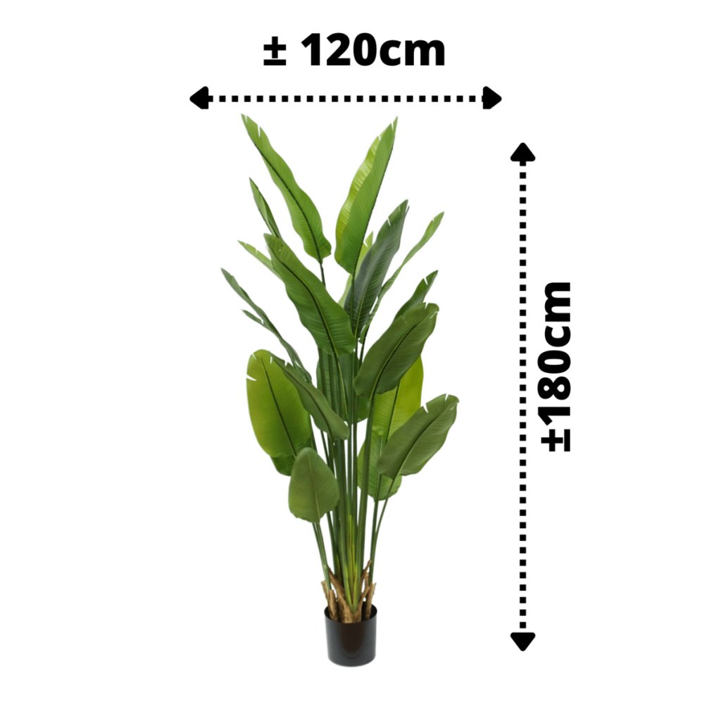 Strelitzia kunstplant 180 cm - mrshomeandgarden