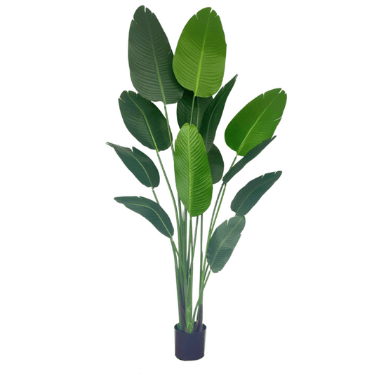 Strelitzia Kunstplant 180 cm - mrshomeandgarden