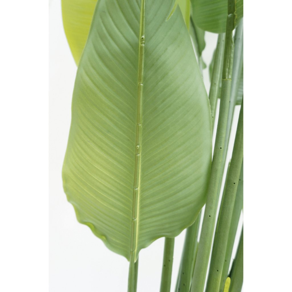 Strelitzia kunstplant 180 cm - mrshomeandgarden