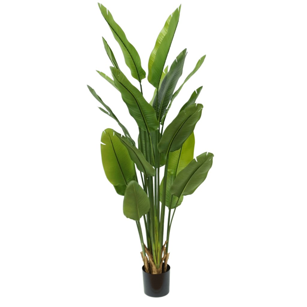 Strelitzia kunstplant 180 cm - mrshomeandgarden