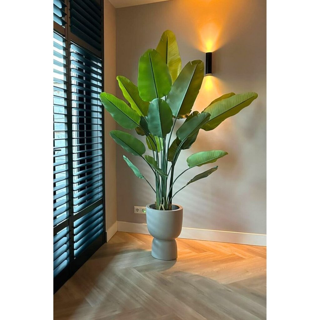 Strelitzia kunstplant 180 cm - mrshomeandgarden