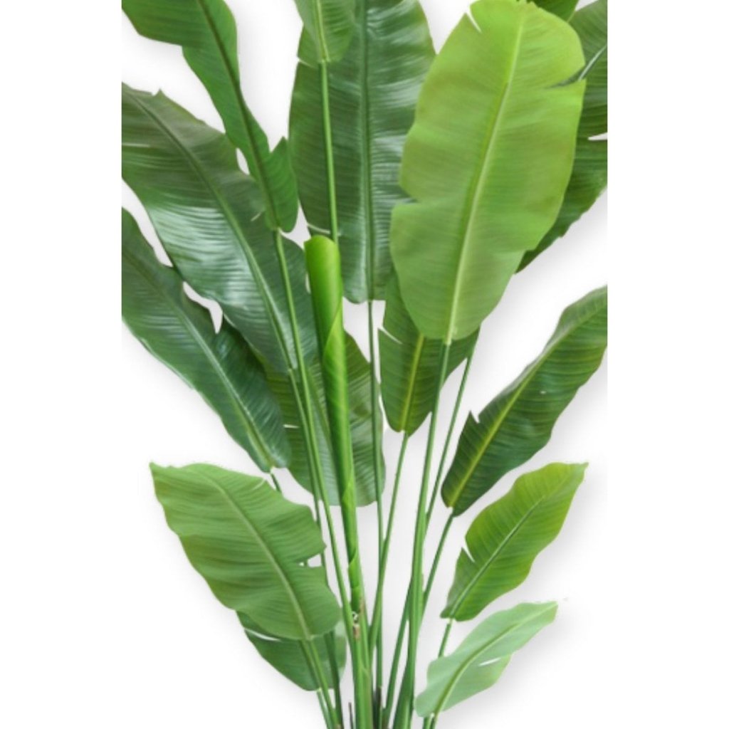 Strelitzia kunstplant 180 cm Deluxe - mrshomeandgarden