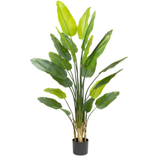 Strelitzia kunstplant 210 cm - mrshomeandgarden
